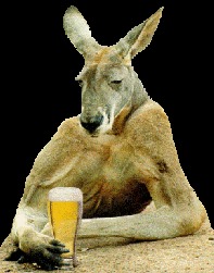 австралийское пиво